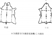 手作笔记——（一）皮料知识